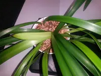 20160104_121052[1].webp