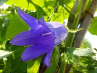 DSCF9027.webp