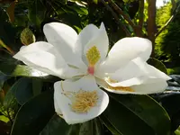 DSCF9035.webp