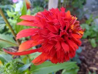 DSCF9070.webp