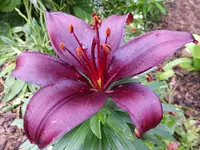 DSCF9082.webp