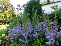 DSCF9075.webp