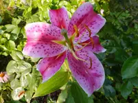 DSCF9094.webp