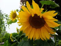 DSCF9104.webp