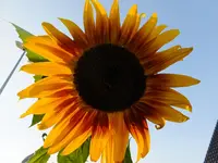 DSCF9112.webp