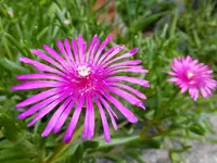 DSCF9143.webp