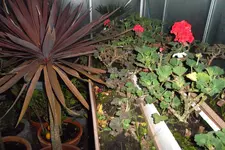SAM_0647.webp