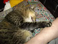 IMGP3018.webp