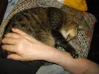 IMGP3017.webp