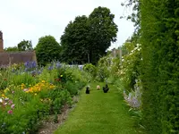 DSCF0346.webp