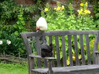 DSCF0334.webp