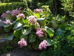 DSCN7005.jpg
