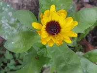 009_1280x960.webp