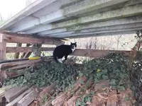 DSCF6806.webp
