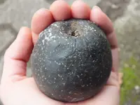 DSCF6774.webp
