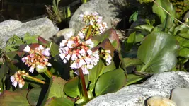 DSCN1934.webp