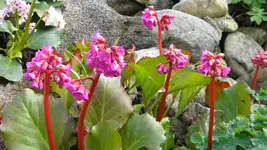 DSCN2057.jpg