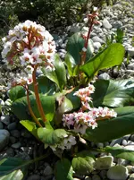 DSCN6998.webp