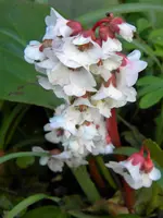 DSCN7658.webp