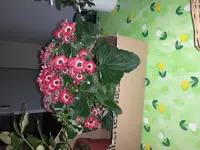 20160112_151341.webp