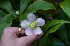 comp_DSC04500.webp