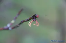 comp_DSC04502.webp