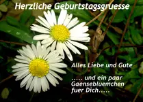 Lavi H&G 2016.webp
