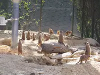 100_2210.webp