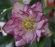 DSC04145.webp