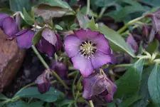 DSC04151.webp