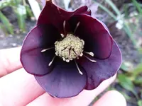 P1010800.webp