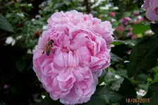 IMG_5329-002.webp