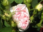 DSCN8924.jpg