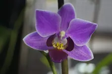 _DSC9741.webp