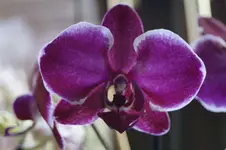 _DSC9742.webp
