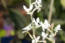 _DSC9747.webp