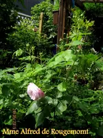 IMG_4659-001.webp
