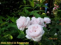 IMG_5313-001.webp