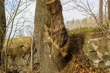 6344.webp