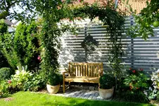 DSCF2541.webp