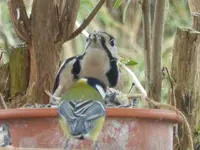 P1020016.webp