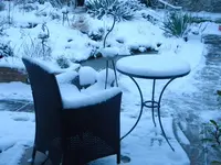 DSCN9953.webp