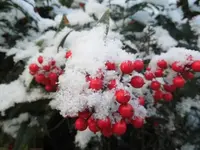Bilda014.webp