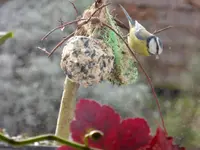 P1020057.webp