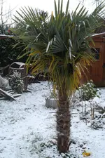 SAM_0675.webp