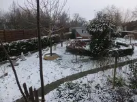 DSCF9004.webp