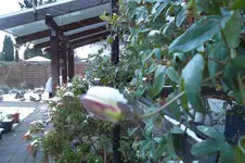 SAM_0683.webp