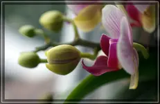 comp_DSC00641.webp