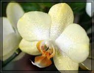 comp_DSC00642.webp