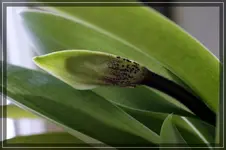 comp_DSC00644.webp